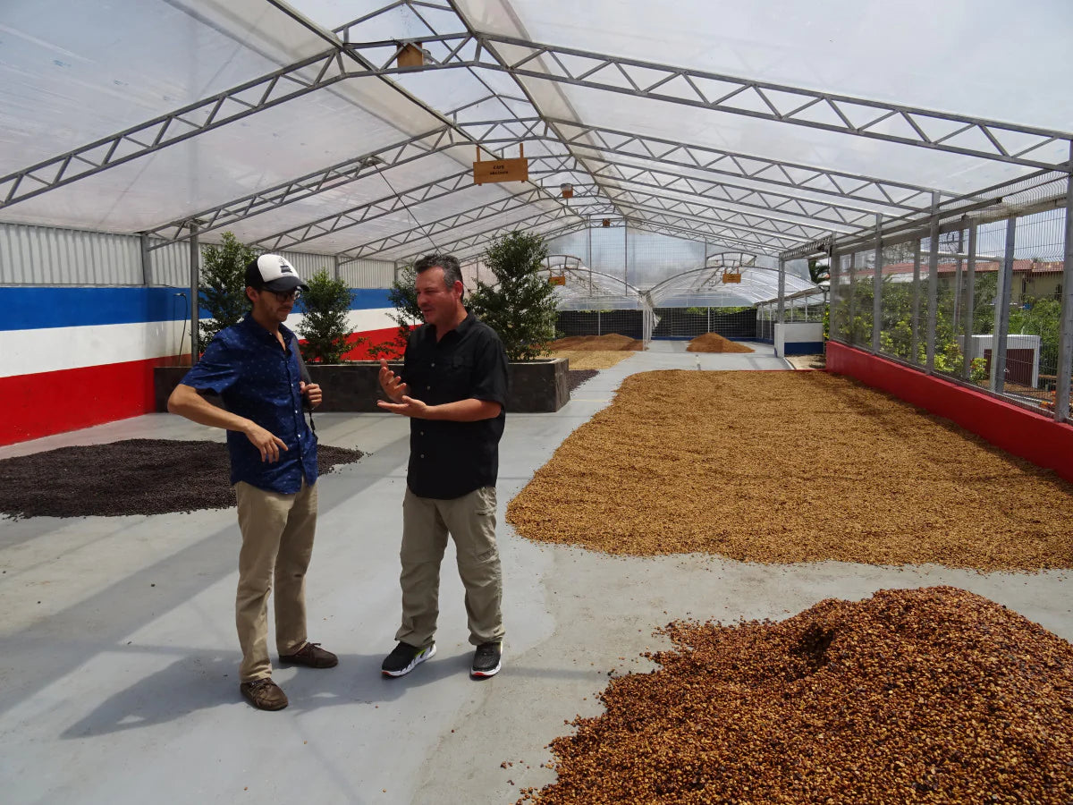 COSTA RICA double diamond