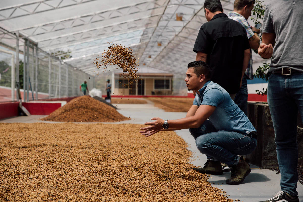 COSTA RICA double diamond