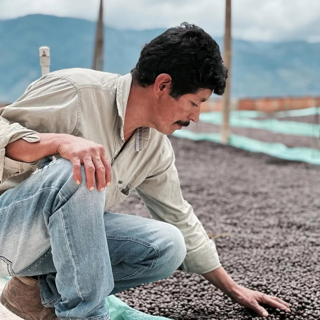 COLOMBIA moises