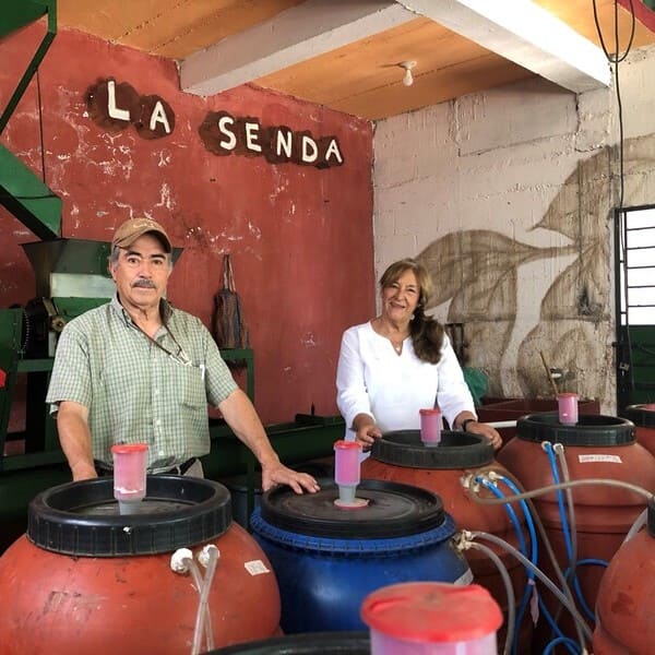 GUATEMALA bubbly bean ballet