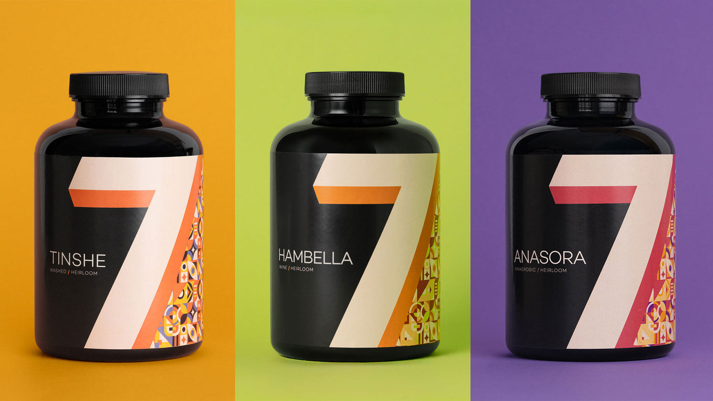 ETHIOPIA bundle filter