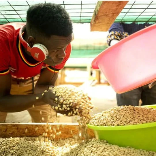UGANDA bulaago