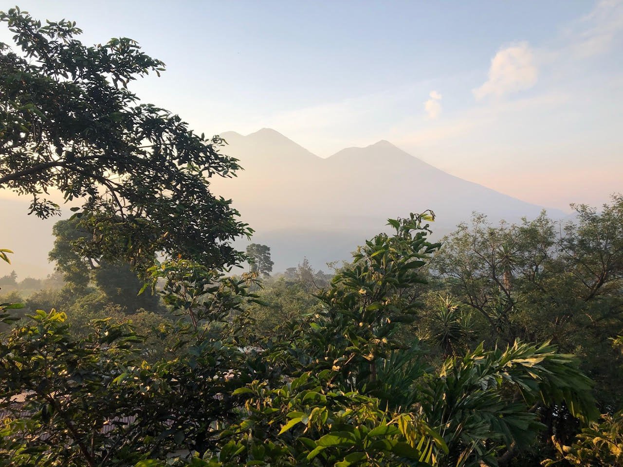 GUATEMALA bubbly bean ballet