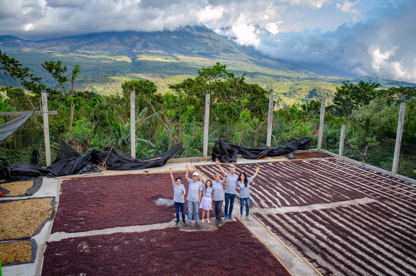 GUATEMALA bubbly bean ballet