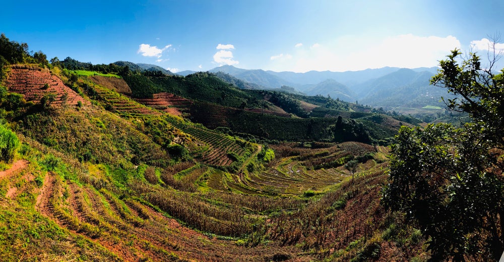 CHINA luo yirong yunnan