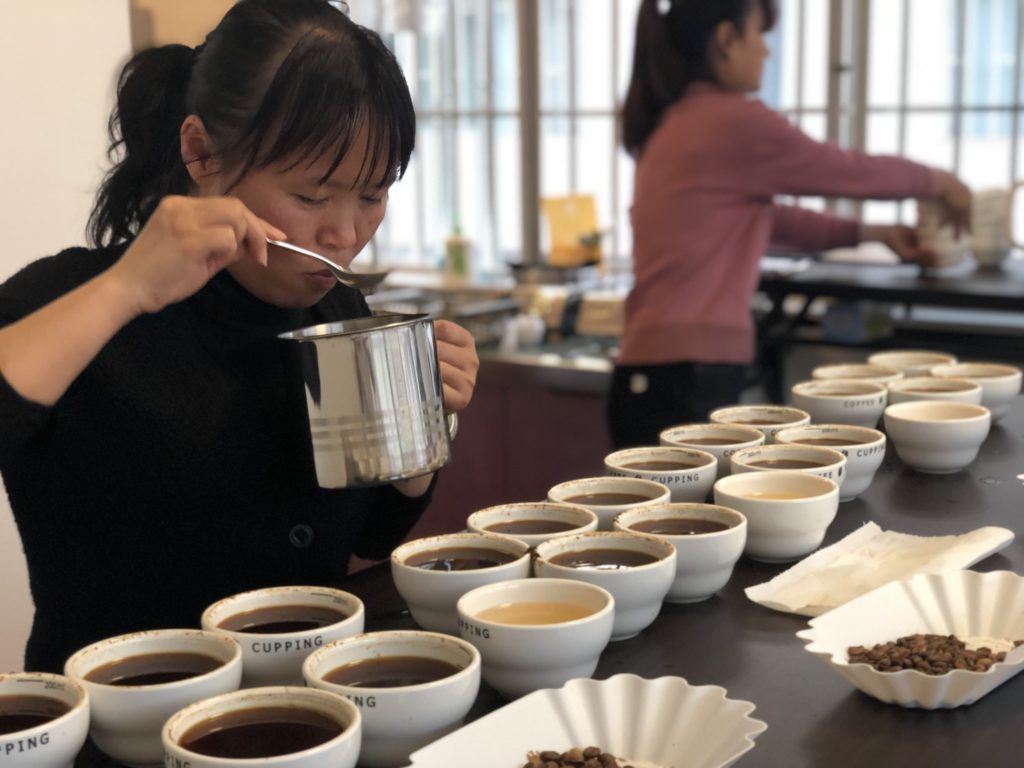 CHINA luo yirong yunnan