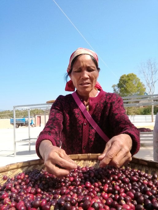 CHINA luo yirong yunnan