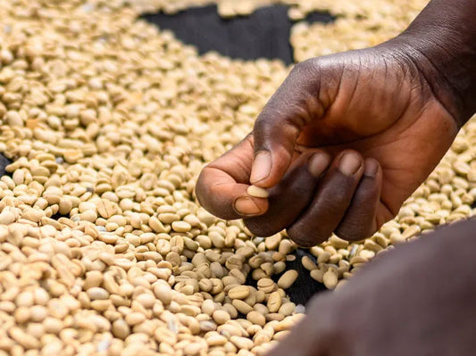 KENYA tinganga ab