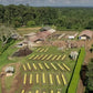 KENYA tinganga ab