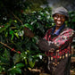 KENYA sasini pb