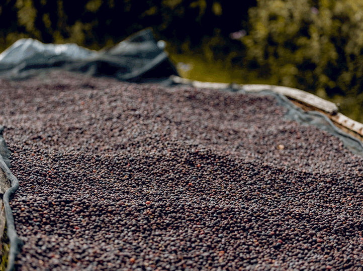 RWANDA rugarama