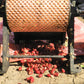 GUATEMALA carmelita