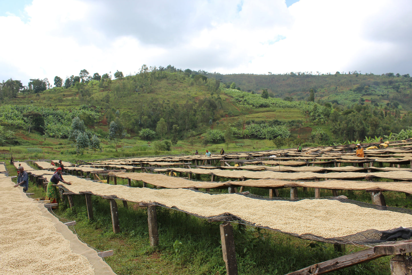 BURUNDI yandaro