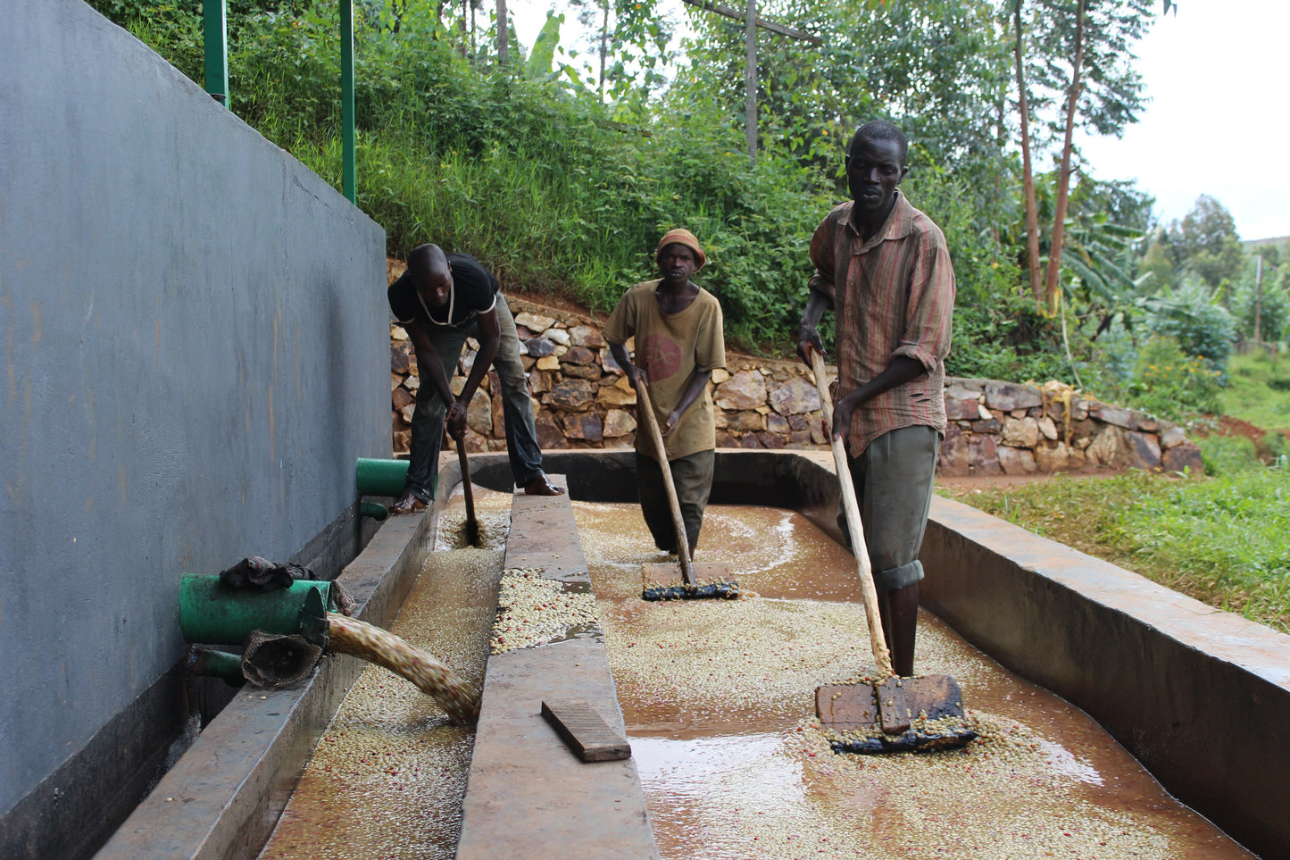 BURUNDI yandaro