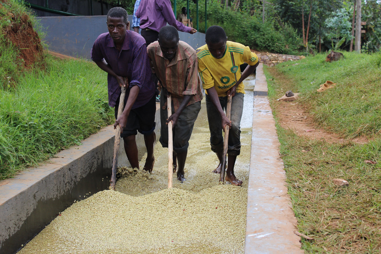 BURUNDI yandaro