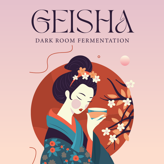 BRAZIL geisha