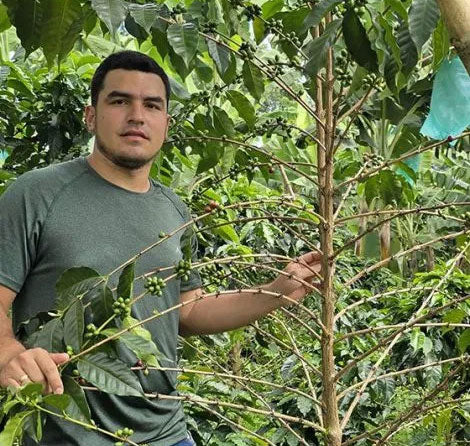 COLOMBIA gesha las brisas