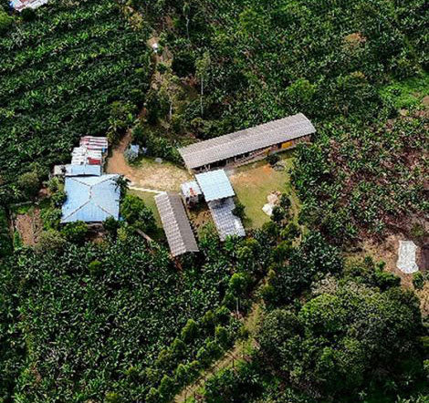 COLOMBIA gesha las brisas