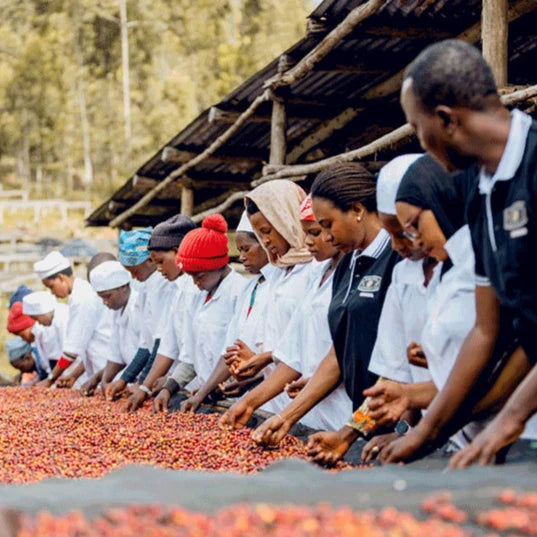 RWANDA rugarama