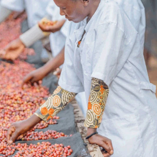 RWANDA rugarama