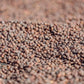 RWANDA rugarama