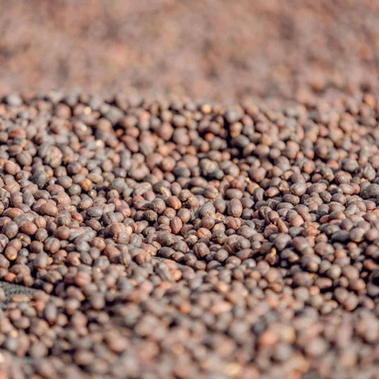 RWANDA rugarama