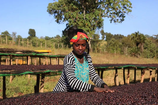 ETHIOPIA muje