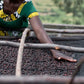 RWANDA rugarama