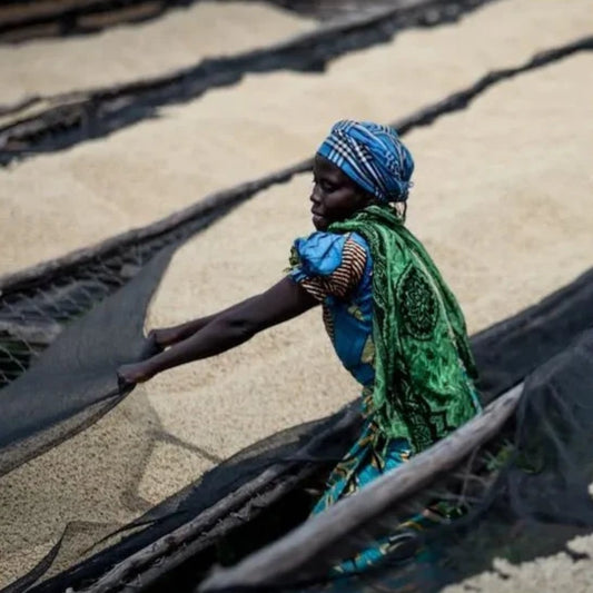 RWANDA valentin